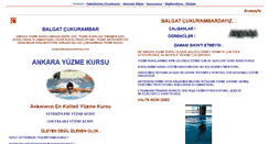 Desktop Screenshot of ankarayuzmekursu.com